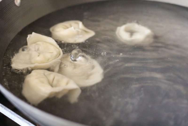 Easy Leftover Chicken and Vegetable Dumplings