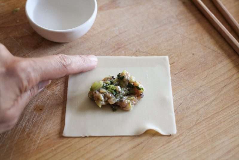 Easy Leftover Chicken and Vegetable Dumplings