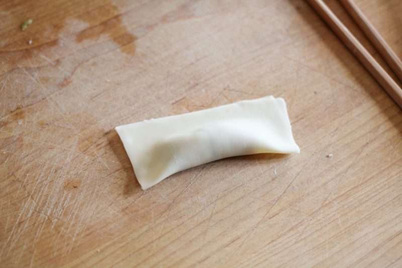 Easy Leftover Chicken and Vegetable Dumplings