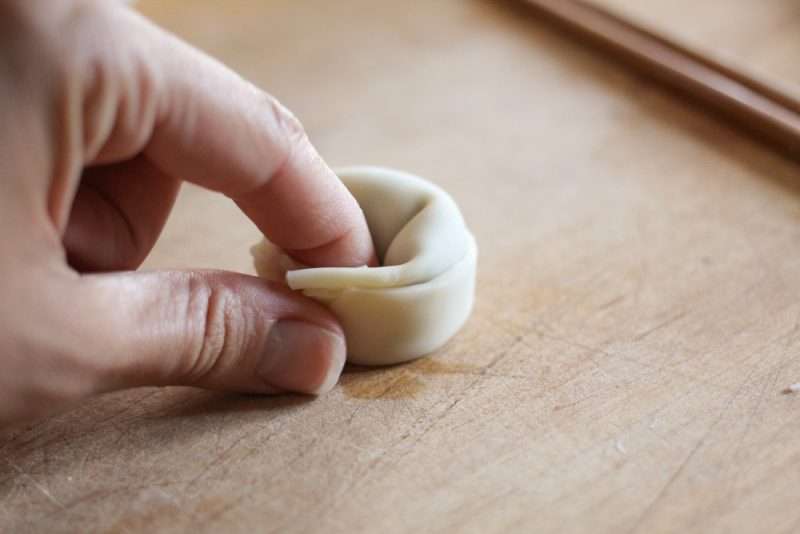 Easy Leftover Chicken and Vegetable Dumplings