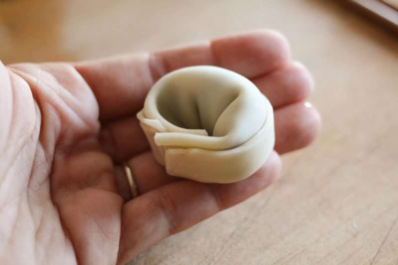Easy Leftover Chicken and Vegetable Dumplings