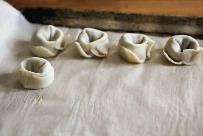 Easy Leftover Chicken and Vegetable Dumplings