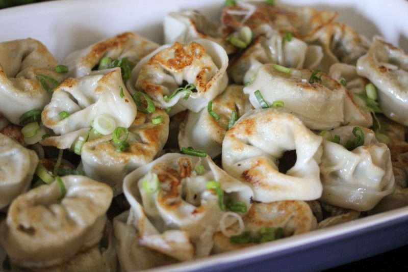 Easy Leftover Chicken and Vegetable Dumplings