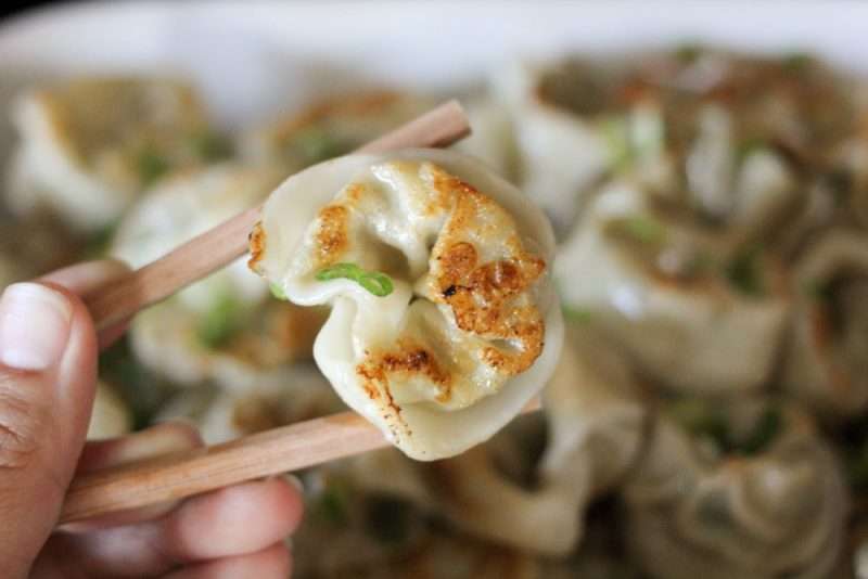 Easy Leftover Chicken and Vegetable Dumplings